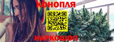 прущие крисы Краснознаменск