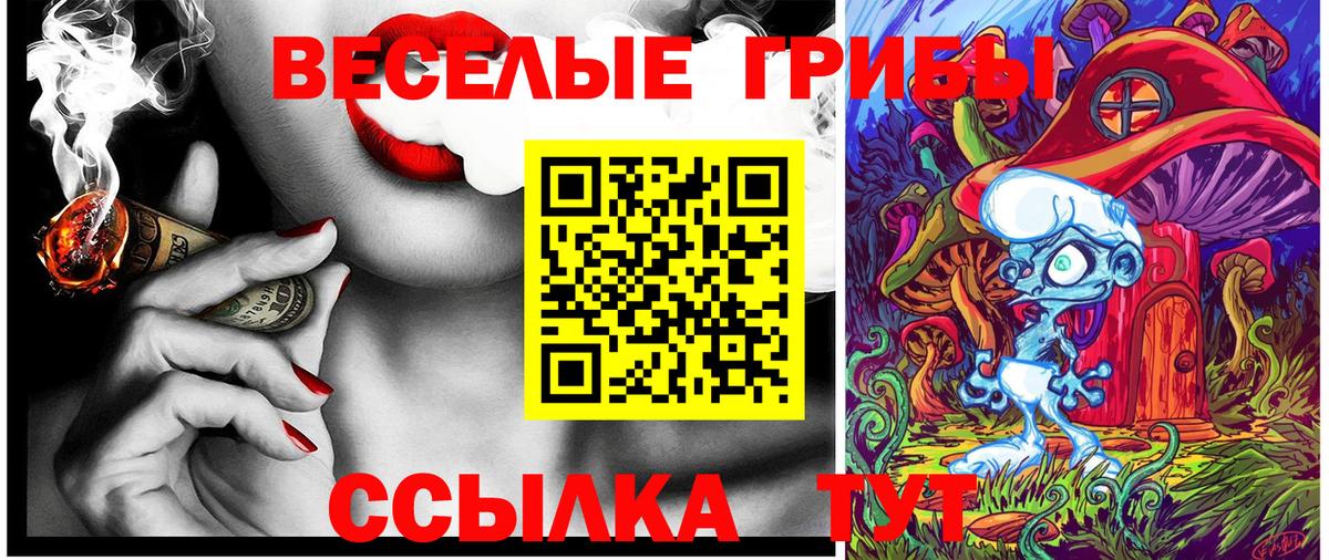Галлюциногенные грибы мухоморы Кинель