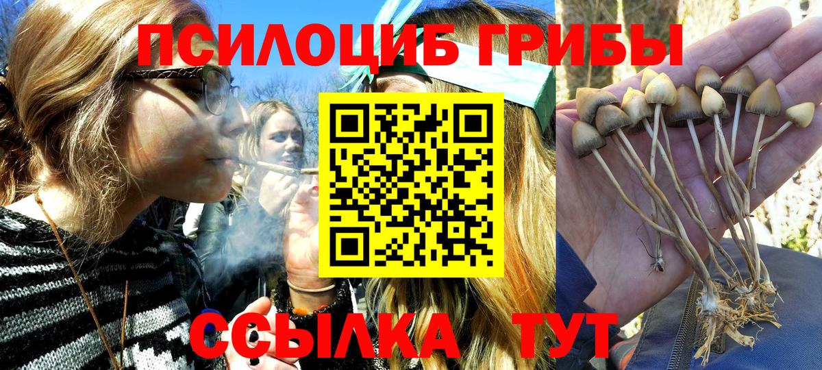 Кинель  Галлюциногенные грибы GOLDEN TEACHER  наркошоп  Вход с VPN  Галлюциногенные грибы прущие грибы 
